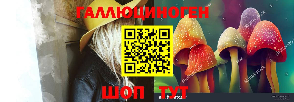 Галлюциногенные грибы Magic Shrooms  Псилоцибиновые грибы Cubensis  Екатеринбург  Вход с VPN 